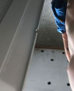 Roman — фото 1