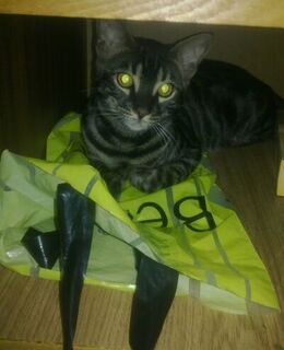 Халяф Карачурин