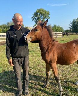 affozakog921027@gmail.com