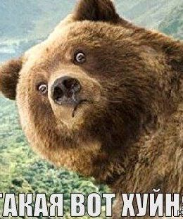 salavat.maratov@mail.ru