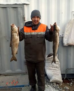 Ильдар — фото 1